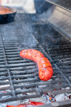 chorizo 

chorizo asado 


chorizo en el asador 

chorizo con queso para fundir 