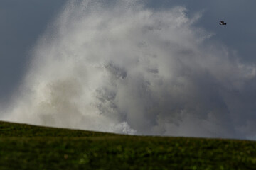 Stormy sea coast