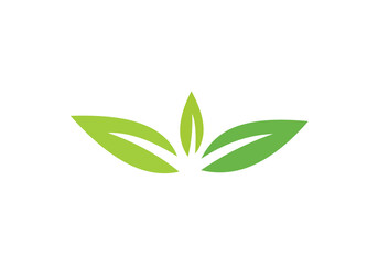 this is a creative green leaf shape logo