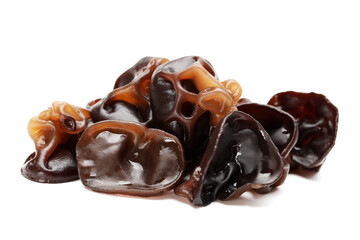 black fungus on white background 