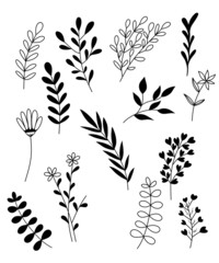 Floral Line Art Collection – Hand Drawn Botanical Elements