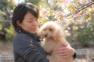 犬と桜と日本人女性