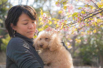 犬と桜と日本人女性