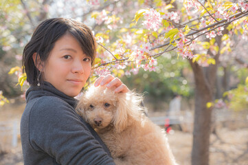 犬と桜と日本人女性