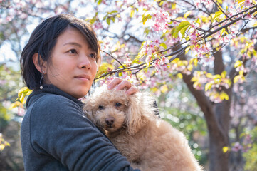 犬と桜と日本人女性