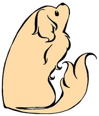 右上を見るダックスフンド