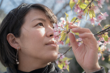 桜の匂いを嗅ぐ日本人女性