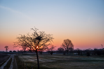Fototapeta na wymiar sunrise in early spring