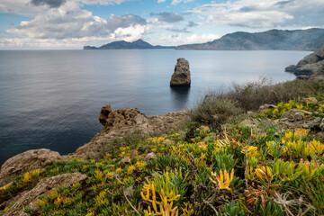 island in front of Mola cape, Andratx, region of the Sierra de Tramuntana, Mallorca, Spain