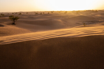 M’Hamid, región de Zagora, Marruecos, Africa