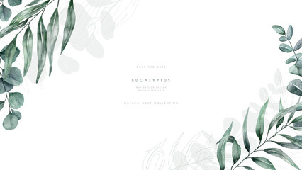 Watercolor eucalyptus background template vector design