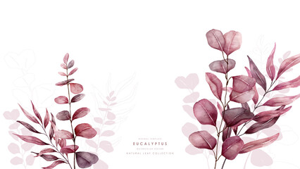 Watercolor red eucalyptus background template from bottom vector design