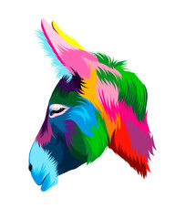 Obraz premium Abstract Donkey head portrait from multicolored paints. Colored drawing. Vector illustration of paints