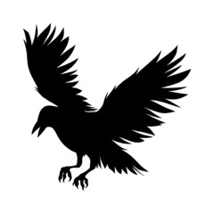 Obraz premium crow silhouette