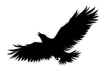 crow silhouette