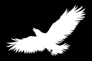 crow silhouette