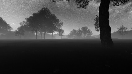 black and white world and grayscale world rendering