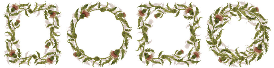 Set of vintage watercolor botanical frames with thistle, wild flowers hand drawn illustration isolated on white.