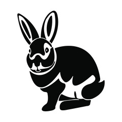 Fototapeta na wymiar Rabbit or bunny isolated on white background