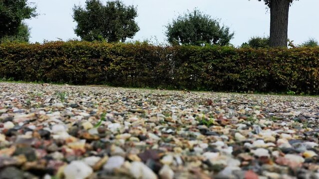 Drohnenvideo &uuml;ber der Ostseeinsel R&uuml;gen in Putbus 