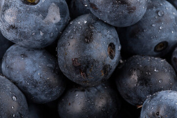 blueberries with water drops close up