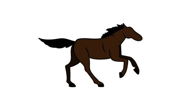 Animation of hand drawn frame-by-frame drawing in brown color of a silhouette of a horse in running on a white isolated background, on a background for a chromakey. High quality FullHD footage