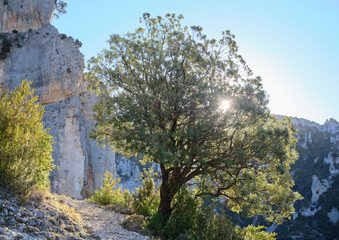 First lights of a cold morning in the Mascun canyon.