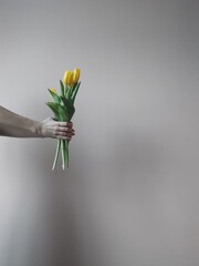 bouquet of yellow tulips 
