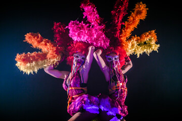 circus performers. clown girls, carnival. halloween