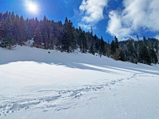 Wonderful winter hiking trails and traces on the slopes of the Alpstein mountain range and in the fresh alpine snow cover of the Swiss Alps - Unterwasser, Switzerland (Schweiz)