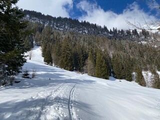 Wonderful winter hiking trails and traces on the slopes of the Alpstein mountain range and in the fresh alpine snow cover of the Swiss Alps - Unterwasser, Switzerland (Schweiz)