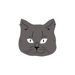 Cute and funny portraits of gray cat. Cartoon cat or kitten characters design with flat color. Set of purebred pet isolated on white background. Home pet, animal care concept. Vector illustration