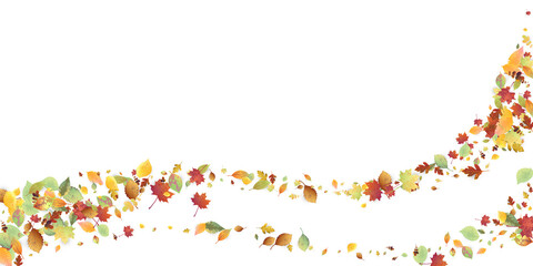 Leaves Falling Autumn Foliage Chaotic Leaf Flying