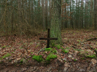 Bezimienny krzyż w lesie. Drewno z którego jest wykonany jest ze starości spękane. Wbity jest...