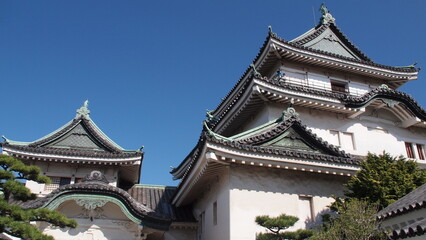 Fototapeta na wymiar Wakayama castle