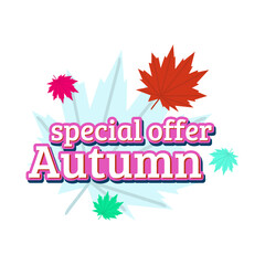 special offer autumn pink flat design