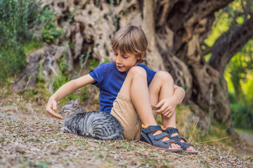 boy tourist and a cat looking at 2000 years old olive tree: Stara Maslina in Budva, Montenegro. It is thought to be the oldest tree in Europe and is a tourist attraction. In the background the