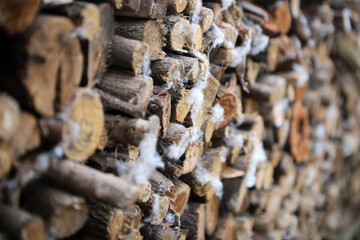 Firewood for the oven