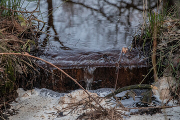 Creek in the woods