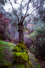 Fototapety na wymiar - Fototapeta24.pl