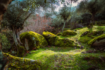 Fototapety na wymiar - Fototapeta24.pl