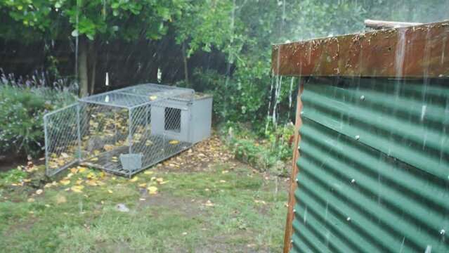 Relaxing Heavy Rain Outside On Backyard Shed With Dog Kennel 