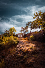 Fototapety na wymiar - Fototapeta24.pl