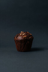 delicious chocolate muffin with chocolate drops. High quality photo