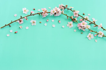 image of spring white cherry blossoms tree over mint pastel background. vintage filtered image