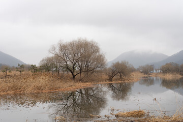 Reflection on the water surface after rain