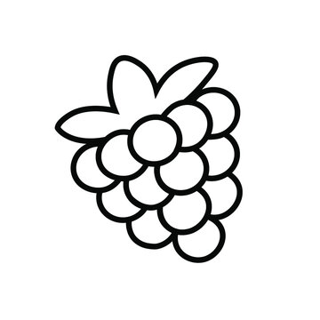 Raspberry blackberry line icon Graphic elements for design Berry icon Berry logotype Contour isolated vector image on white background