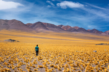 Hombre caminando por campos de flores en Catamarca © Javier