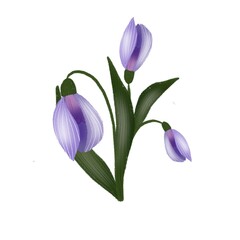 Naklejka premium bouquet of flowers