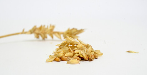 cereal grains, seeds on white background